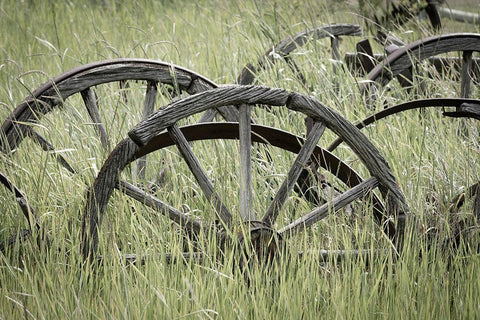 Ole Wagon Wheels II Black Ornate Wood Framed Art Print with Double Matting by Mahan, Kathy