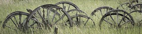 Old Wagon Wheels III White Modern Wood Framed Art Print with Double Matting by Mahan, Kathy