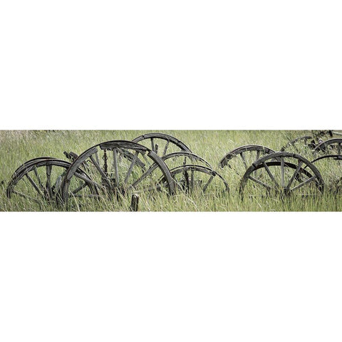 Old Wagon Wheels III Black Modern Wood Framed Art Print with Double Matting by Mahan, Kathy