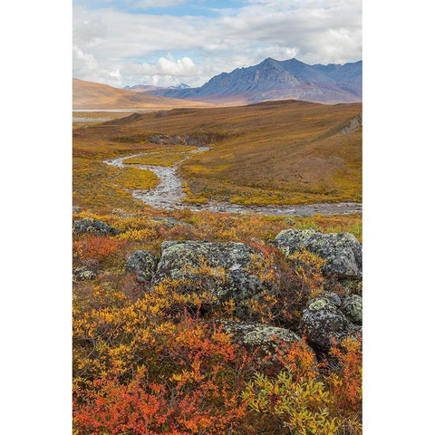 Arctic National Preserve I Gold Ornate Wood Framed Art Print with Double Matting by Mahan, Kathy