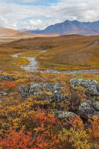 Arctic National Preserve I White Modern Wood Framed Art Print with Double Matting by Mahan, Kathy