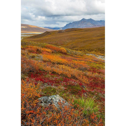 Arctic National Preserve II White Modern Wood Framed Art Print by Mahan, Kathy