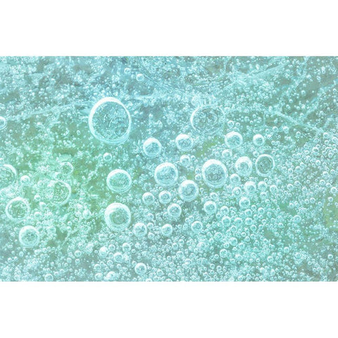 Frozen Bubbles I Gold Ornate Wood Framed Art Print with Double Matting by Mahan, Kathy