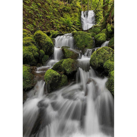 Waterfall I Black Modern Wood Framed Art Print with Double Matting by Mahan, Kathy