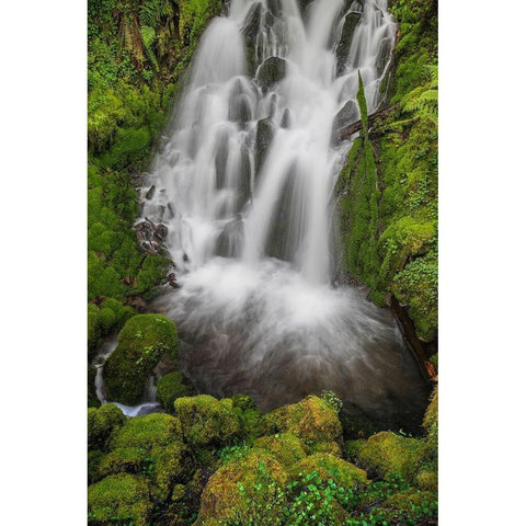 Waterfall II Gold Ornate Wood Framed Art Print with Double Matting by Mahan, Kathy