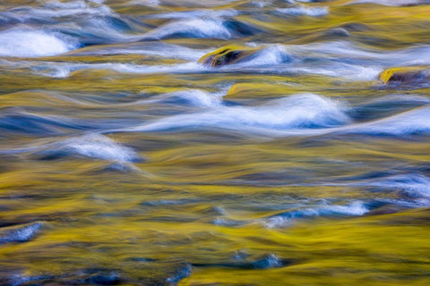 Reflections of Fall I Black Ornate Wood Framed Art Print with Double Matting by Mahan, Kathy