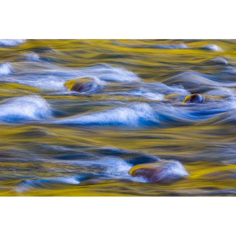 Reflections of Fall II Gold Ornate Wood Framed Art Print with Double Matting by Mahan, Kathy