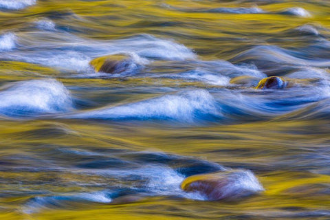 Reflections of Fall II Black Ornate Wood Framed Art Print with Double Matting by Mahan, Kathy