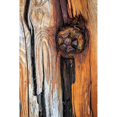 Wood Details I White Modern Wood Framed Art Print by Mahan, Kathy