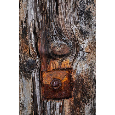 Wood Details II White Modern Wood Framed Art Print by Mahan, Kathy