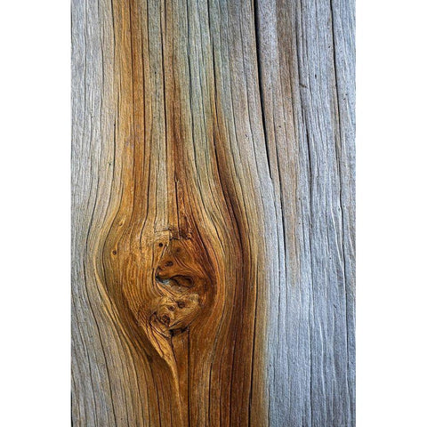 Wood Details III White Modern Wood Framed Art Print by Mahan, Kathy