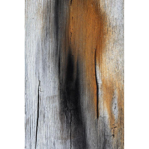 Wood Details IV Black Modern Wood Framed Art Print with Double Matting by Mahan, Kathy