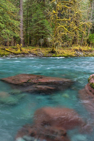 NF Skokomish River III Black Ornate Wood Framed Art Print with Double Matting by Mahan, Kathy