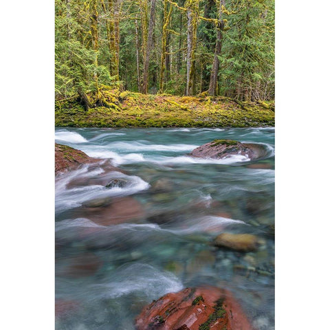 NF Skokomish River IV Gold Ornate Wood Framed Art Print with Double Matting by Mahan, Kathy