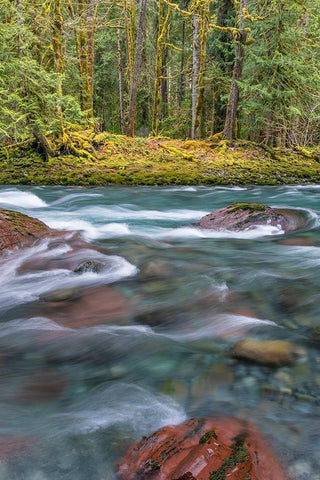 NF Skokomish River IV White Modern Wood Framed Art Print with Double Matting by Mahan, Kathy