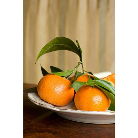 Oranges I White Modern Wood Framed Art Print by Millet, Karyn