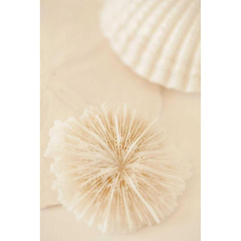 Ocean Treasures I White Modern Wood Framed Art Print by Millet, Karyn