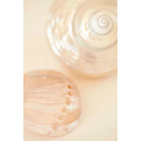 Ocean Treasures II Black Modern Wood Framed Art Print with Double Matting by Millet, Karyn