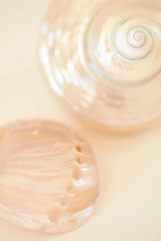 Ocean Treasures II White Modern Wood Framed Art Print with Double Matting by Millet, Karyn