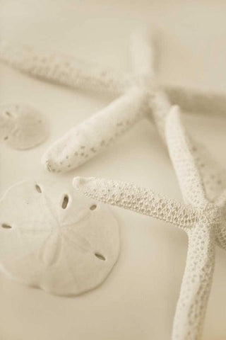 Ocean Treasures VI Black Ornate Wood Framed Art Print with Double Matting by Millet, Karyn