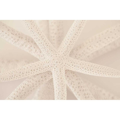 Ocean Treasures VII Black Modern Wood Framed Art Print with Double Matting by Millet, Karyn