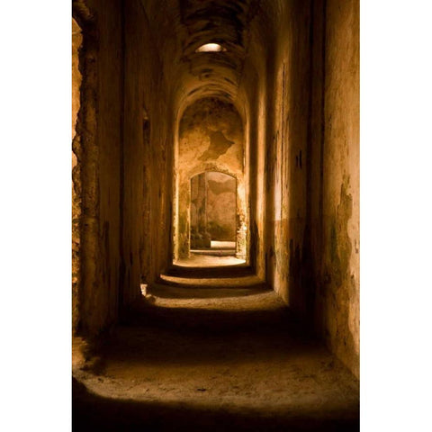 Down the Hall II Gold Ornate Wood Framed Art Print with Double Matting by Millet, Karyn