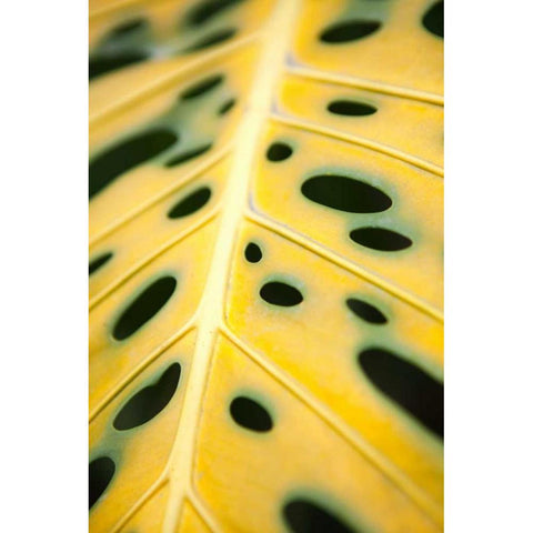 Tropical Leaves III White Modern Wood Framed Art Print by Millet, Karyn
