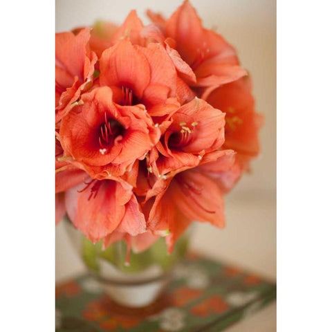 Peach Bouquet White Modern Wood Framed Art Print by Millet, Karyn