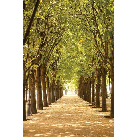 Follow the Path I White Modern Wood Framed Art Print by Millet, Karyn