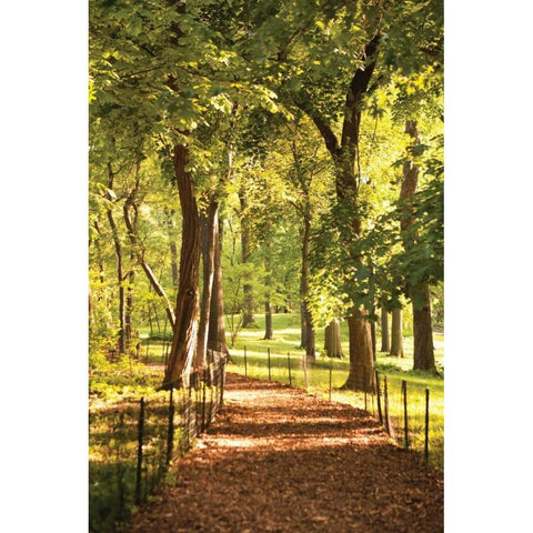 Follow the Path II Black Modern Wood Framed Art Print with Double Matting by Millet, Karyn