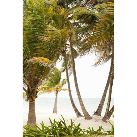 Tropical Oasis II White Modern Wood Framed Art Print by Millet, Karyn