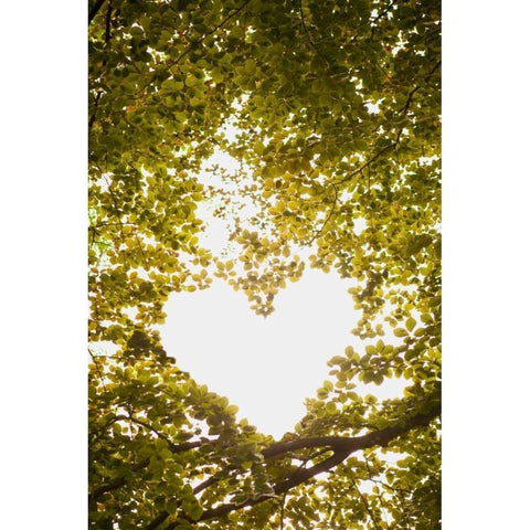 Heart in the Trees II White Modern Wood Framed Art Print by Millet, Karyn