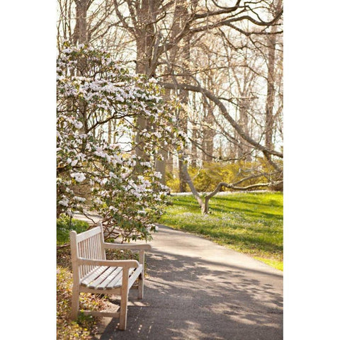 In the Park II Black Modern Wood Framed Art Print with Double Matting by Millet, Karyn