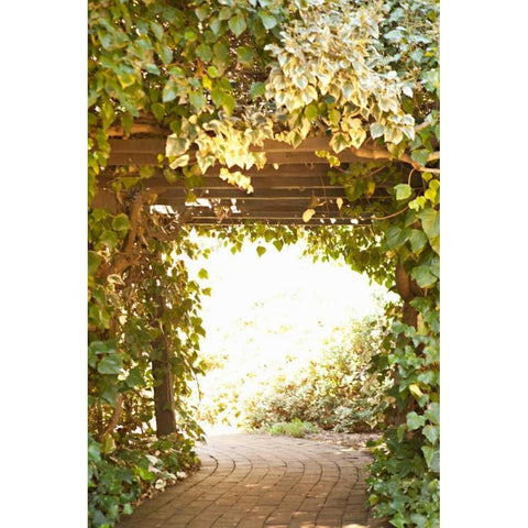 Secret Garden II White Modern Wood Framed Art Print by Millet, Karyn