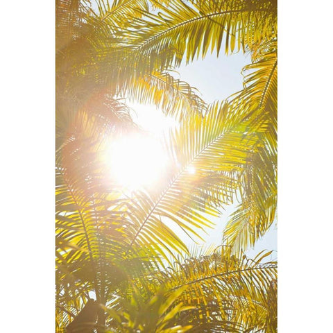 Tropical Oasis II Black Modern Wood Framed Art Print with Double Matting by Millet, Karyn