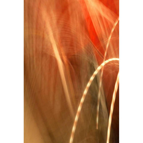 Copper Curves I Black Modern Wood Framed Art Print with Double Matting by Millet, Karyn