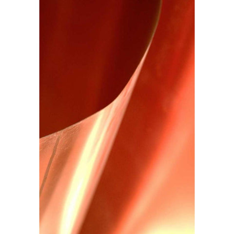 Copper Curves II Gold Ornate Wood Framed Art Print with Double Matting by Millet, Karyn