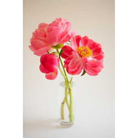 Pink Peonies in Vase II Gold Ornate Wood Framed Art Print with Double Matting by Millet, Karyn