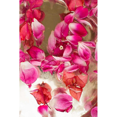 Pink Petals Abstract II White Modern Wood Framed Art Print by Millet, Karyn