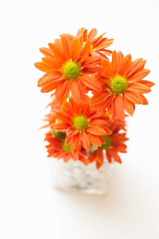 Spring Bouquet White Modern Wood Framed Art Print with Double Matting by Millet, Karyn