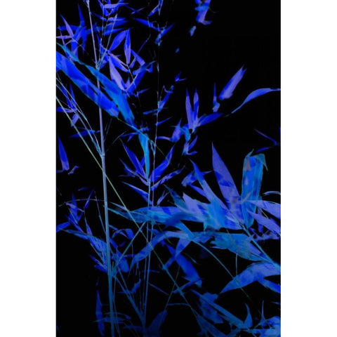 Bamboo at Night II White Modern Wood Framed Art Print by Millet, Karyn