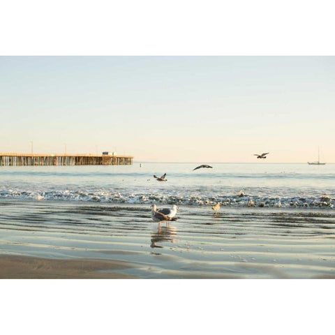 Ocean Pier Black Modern Wood Framed Art Print by Millet, Karyn