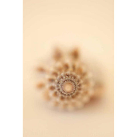 Sea Shells III Gold Ornate Wood Framed Art Print with Double Matting by Millet, Karyn