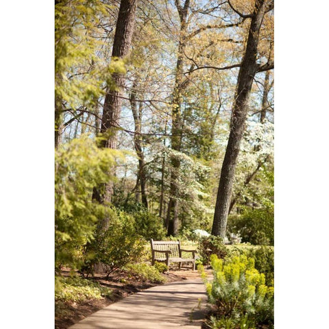 Park Bench Gold Ornate Wood Framed Art Print with Double Matting by Millet, Karyn