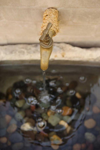 Faucet II Black Ornate Wood Framed Art Print with Double Matting by Millet, Karyn