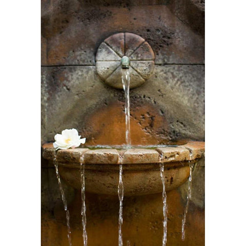 Fountain I White Modern Wood Framed Art Print by Millet, Karyn