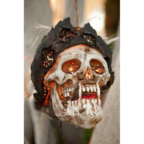 Pirate Skull Black Modern Wood Framed Art Print with Double Matting by Millet, Karyn