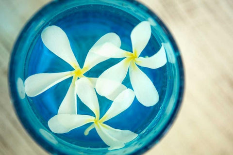 Floating Flowers I Black Ornate Wood Framed Art Print with Double Matting by Millet, Karyn