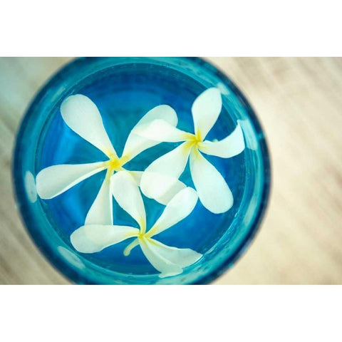 Floating Flowers I Black Modern Wood Framed Art Print by Millet, Karyn