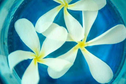 Floating Flowers II White Modern Wood Framed Art Print with Double Matting by Millet, Karyn